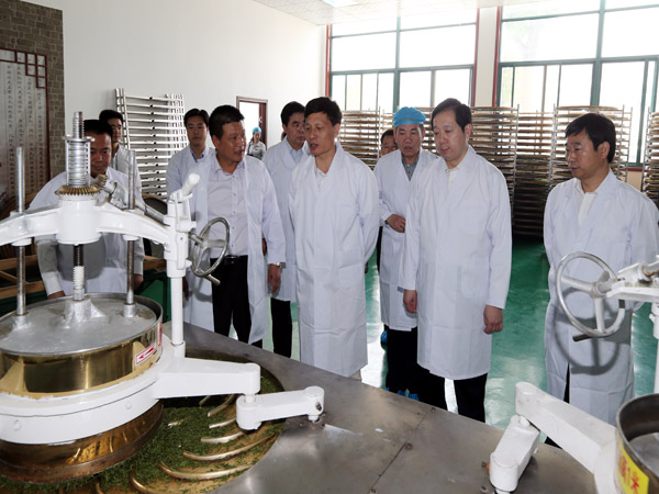 河南省省长谢伏瞻深入广义茶叶机械化加工厂调研