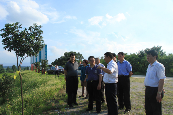 信阳市市长郑志强陪同国家农业部领导到广义国家级茶叶标准园调研
