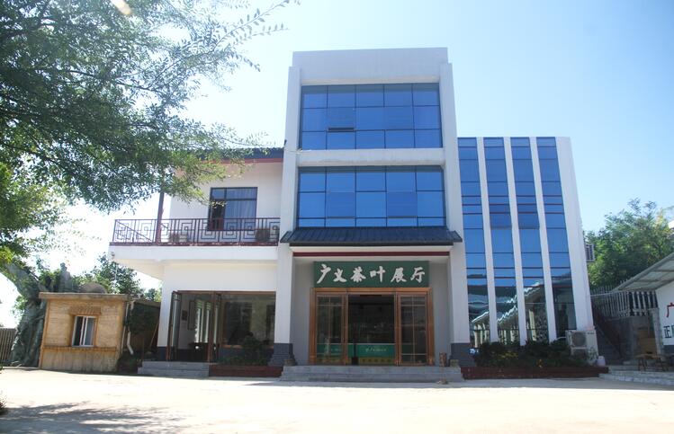 大师制茶·匠心精神·2017年春茶上市