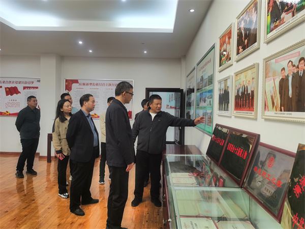 2024年11月14日，热烈欢迎桐柏县领导一行来我司考察茶产业发展