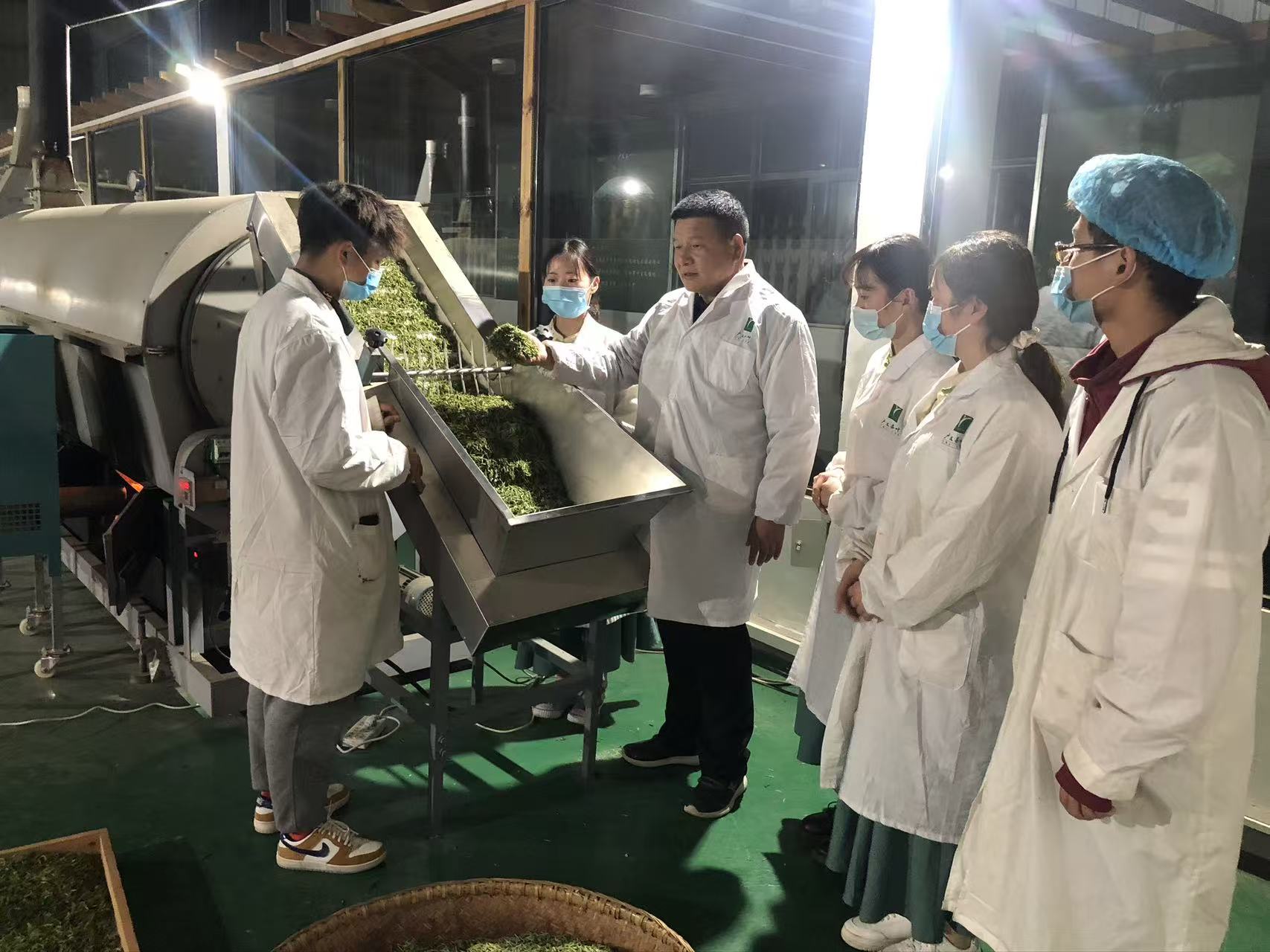 春茶上市正当时，信阳市广义茶叶的好毛尖远销四方